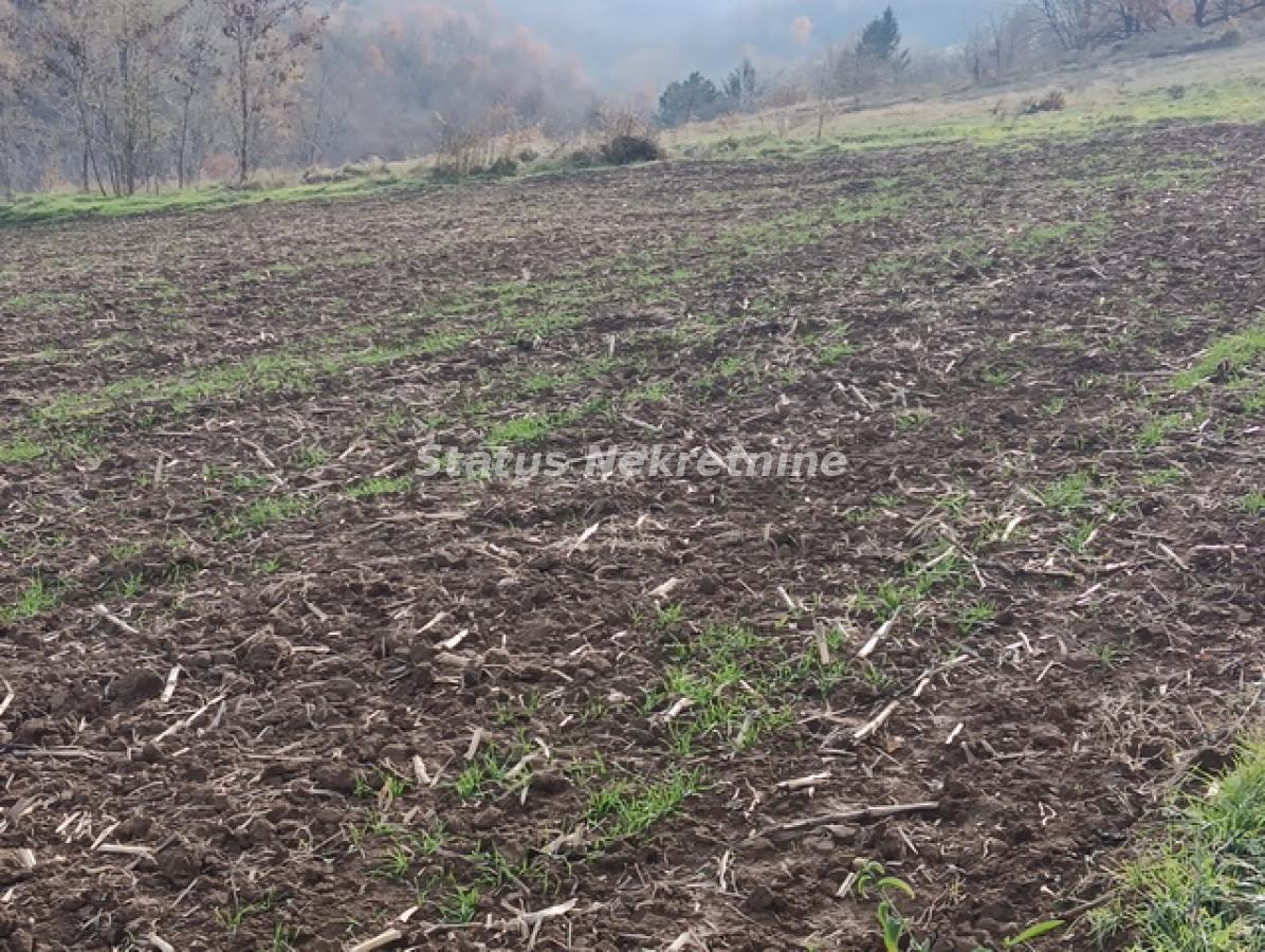 Plac na prodaju, Sremski Karlovci, 322,34 ari, 332.000 €