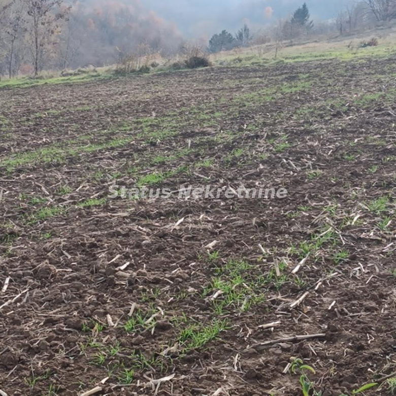 Plac na prodaju, Sremski Karlovci, 322,34 ari, 332.000 €