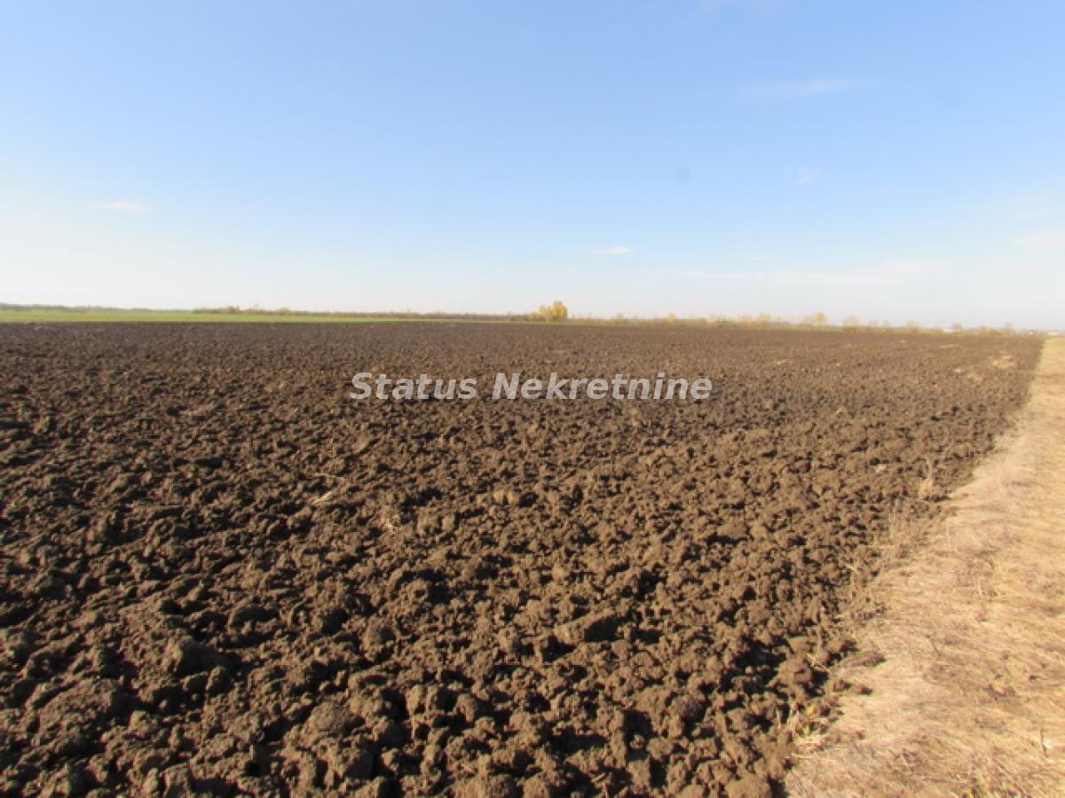 Plac na prodaju, Sremska Mitrovica, 604,5 ari, 226.600 €