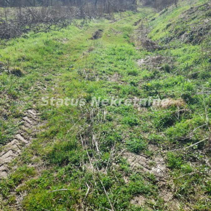 Plac na prodaju, Sremski Karlovci, 147,57 ari, 49.000 €