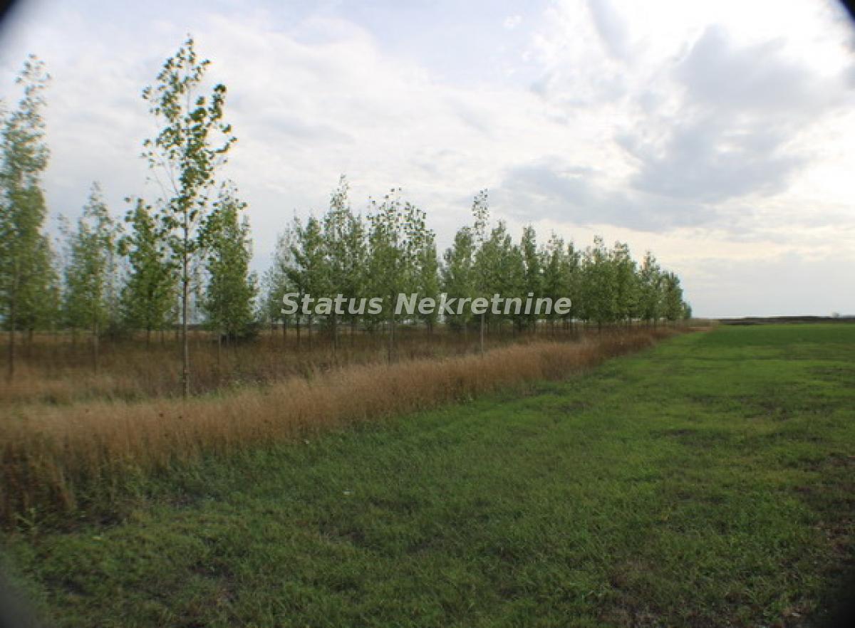 Plac na prodaju, Zrenjanin, 1378,38 ari, 115.000 €