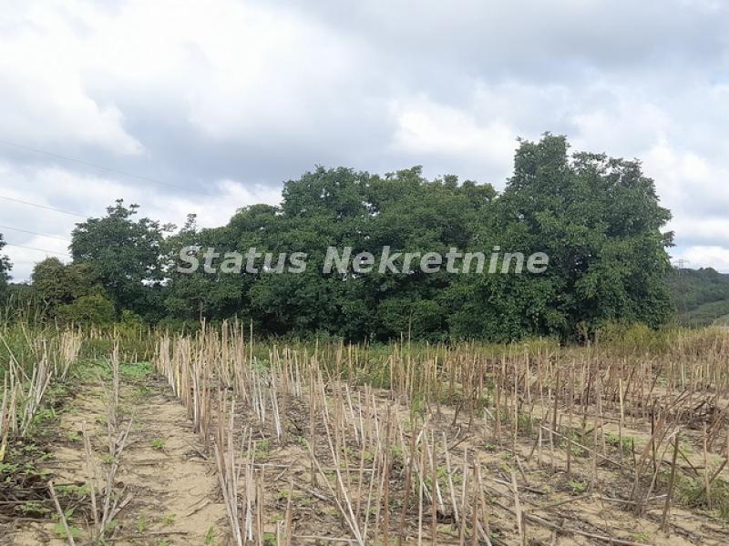 actionimagesite31agencystatusimgcuc5hg36vw-20220912-101856-resize Plac na prodaju, Bukovac, Novi Sad, 23,86 ari, 61.450 €