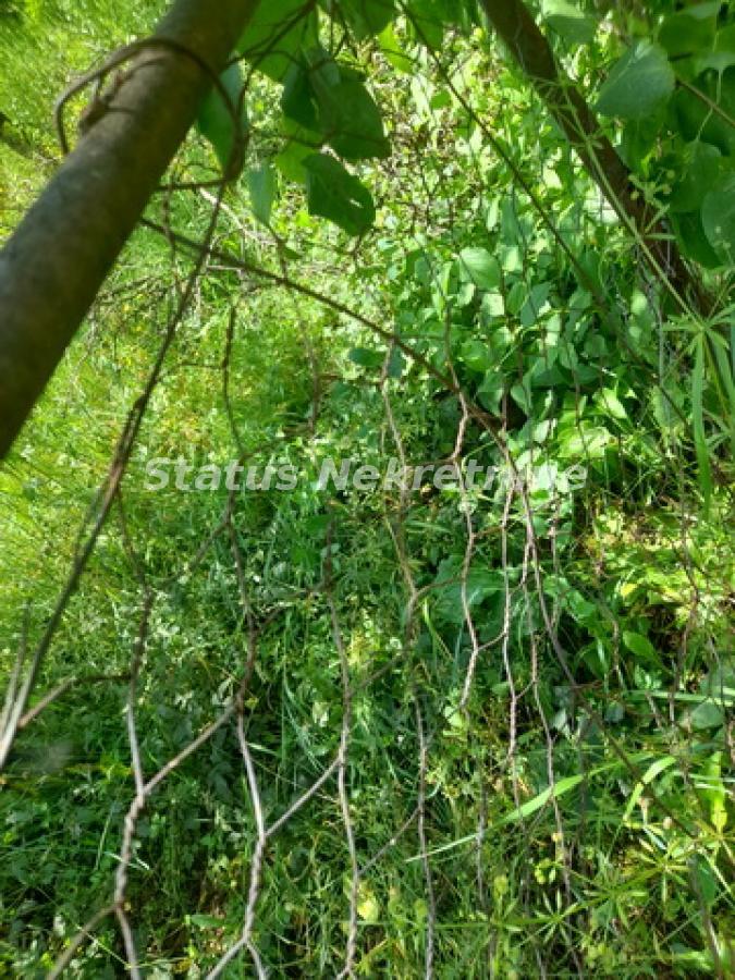actionimagesite31agencystatusimgcuozdvre4p-20230610-131212-resize Plac na prodaju, Inđija, 21,65 ari, 49.000 €