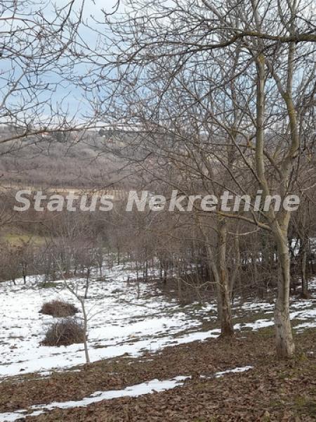 actionimagesite31agencystatusimgcyeoyndpan-20220117-123302-resize Plac na prodaju, Inđija, 122,4 ari, 130.000 €