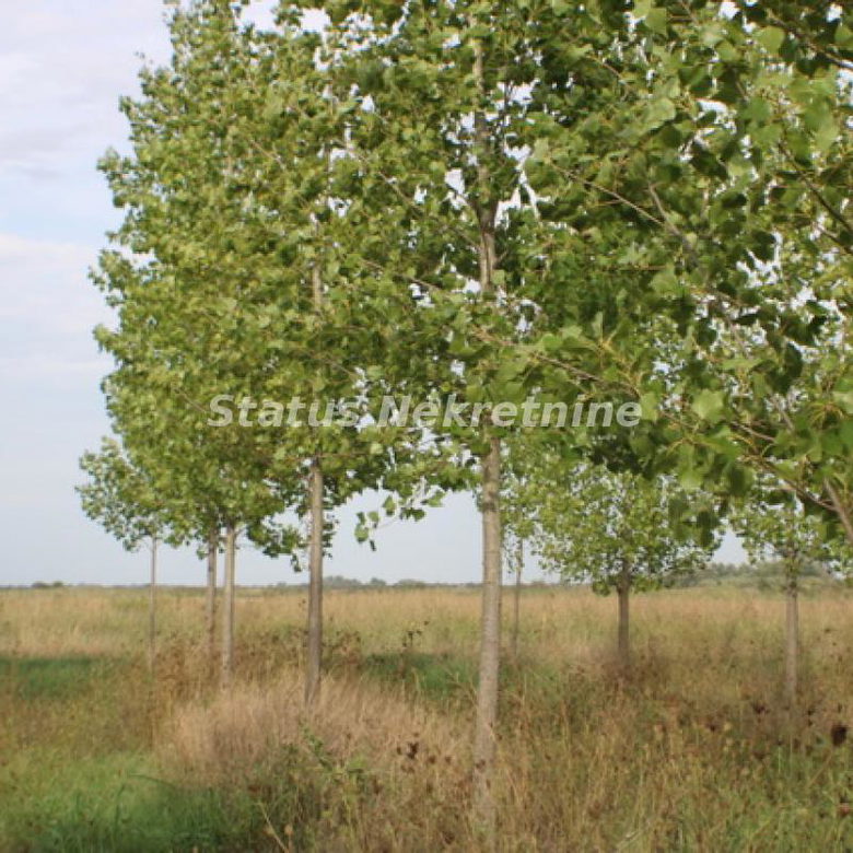 Plac na prodaju, Zrenjanin, 1378,38 ari, 115.000 €