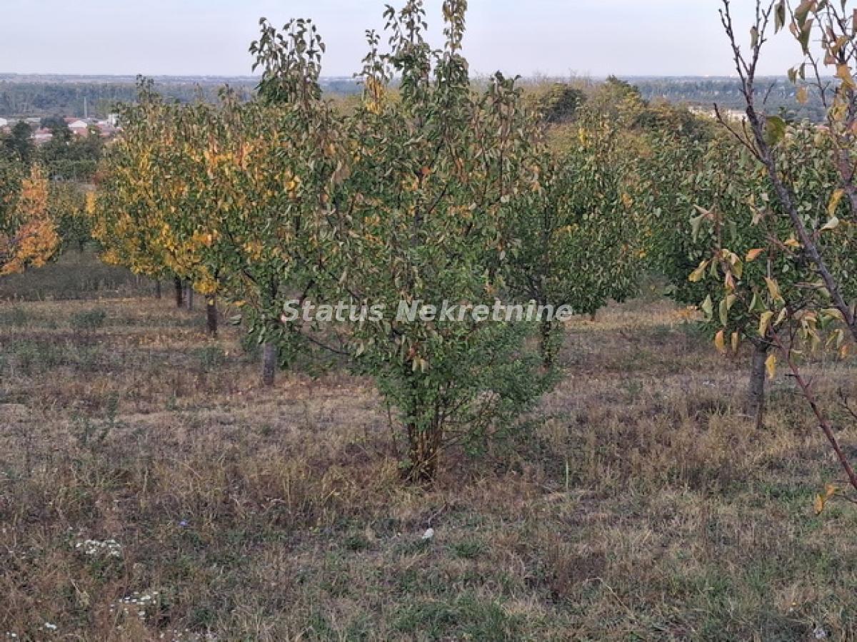 Plac na prodaju, Centar, Beočin, 75 ari, 113.300 €