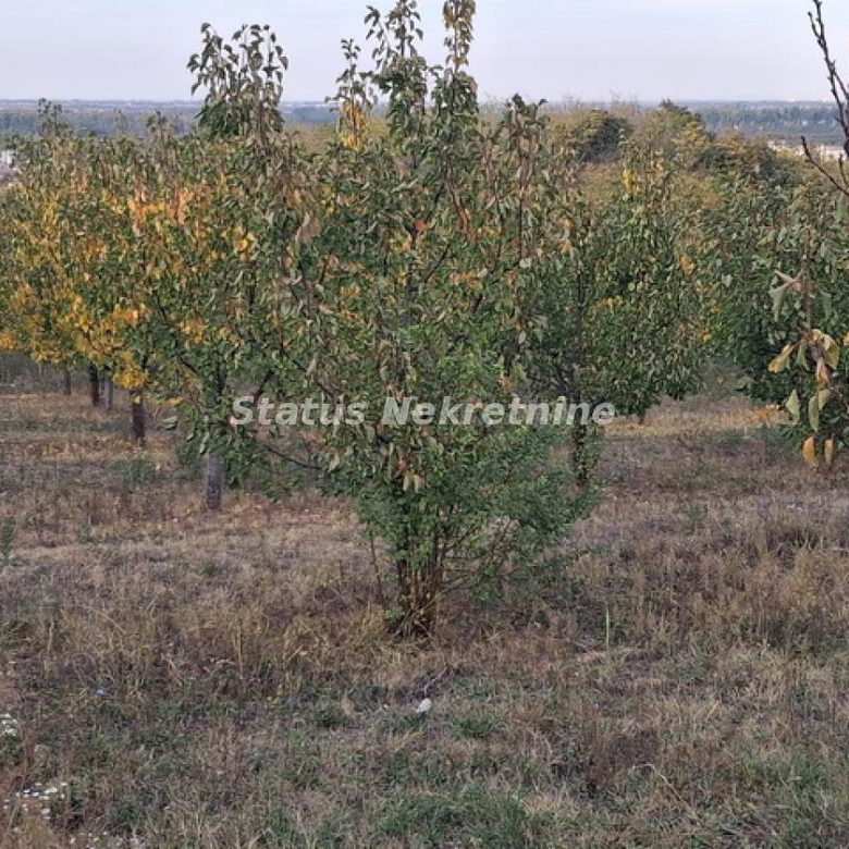 Plac na prodaju, Centar, Beočin, 75 ari, 113.300 €