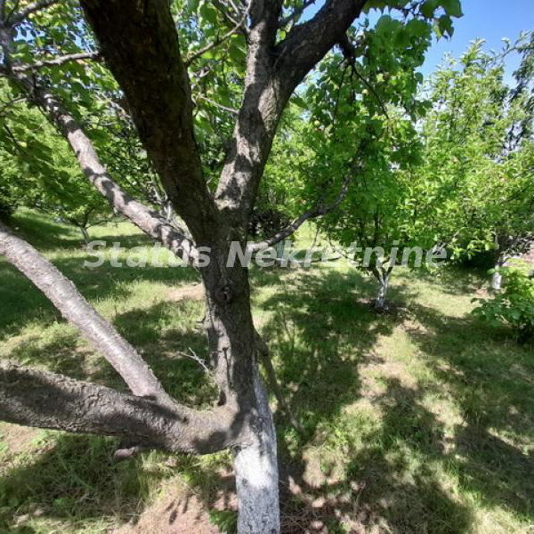 Kuća na prodaju, Beočin, 30m², 103.000 €