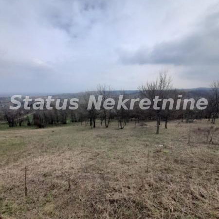 Plac na prodaju, Petrovaradin, Novi Sad, 36,25 ari, 169.950 €