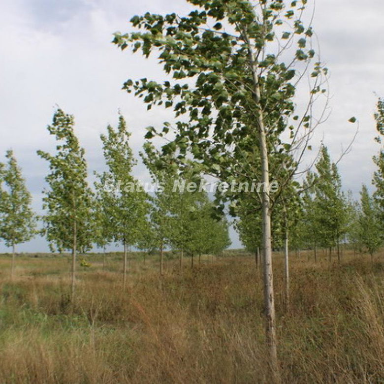 Plac na prodaju, Zrenjanin, 1378,38 ari, 115.000 €