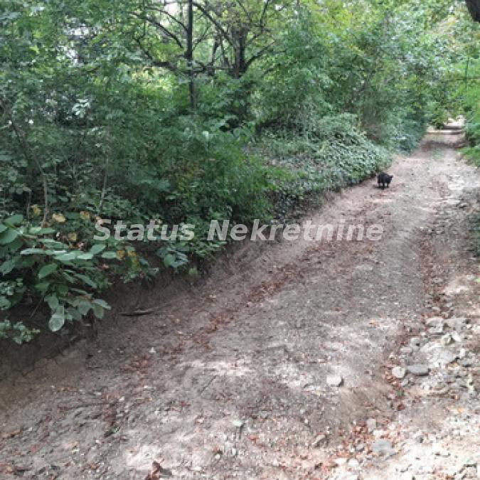Plac na prodaju, Sremski Karlovci, 7,7 ari, 15.000 €