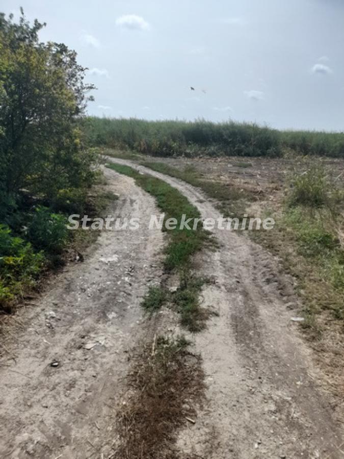 actionimagesite31agencystatusimgepuvjy3wob-20230831-112028-resize Plac na prodaju, Sremska Mitrovica, 341,55 ari, 247.200 €