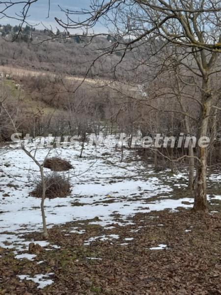actionimagesite31agencystatusimgexc5yf24xj-20220117-123353-resize Plac na prodaju, Inđija, 122,4 ari, 130.000 €
