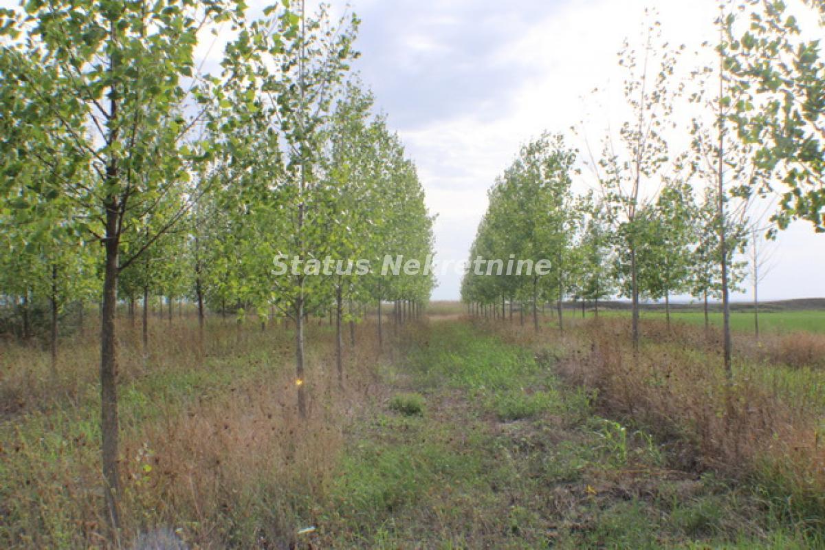 Plac na prodaju, Zrenjanin, 1378,38 ari, 115.000 €