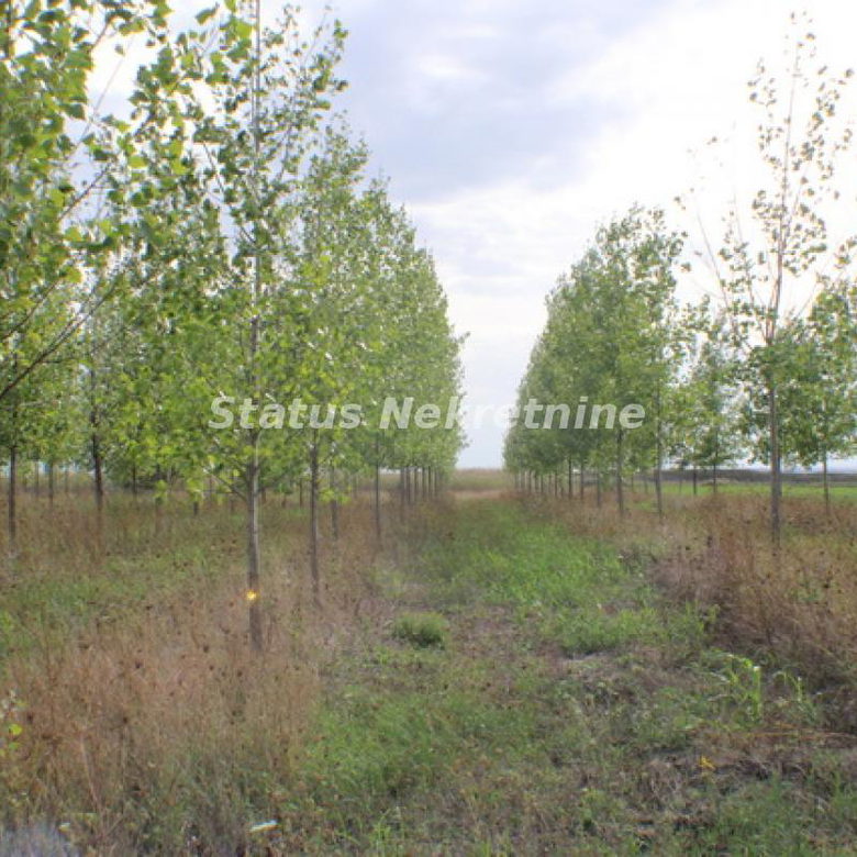 Plac na prodaju, Zrenjanin, 1378,38 ari, 115.000 €