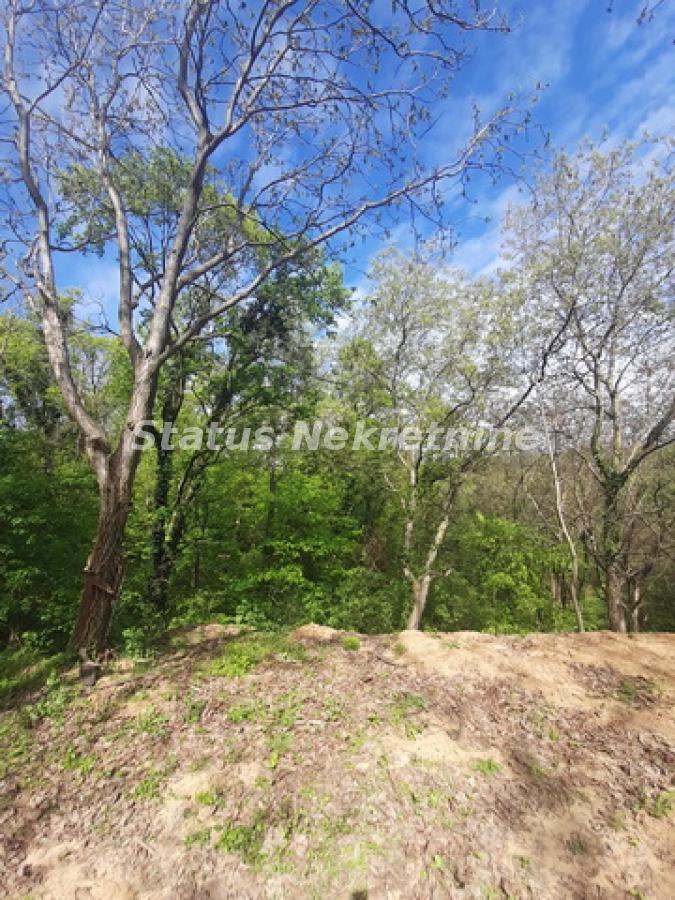 actionimagesite31agencystatusimgf7xdmzhekh-20240406-145415-resize Plac na prodaju, Irig, 92,83 ari, 191.200 €