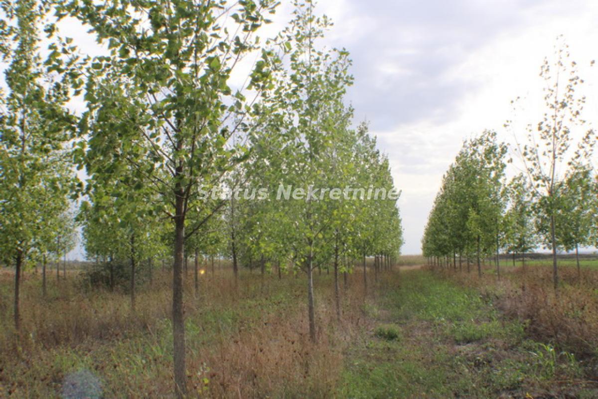 Plac na prodaju, Zrenjanin, 1378,38 ari, 115.000 €