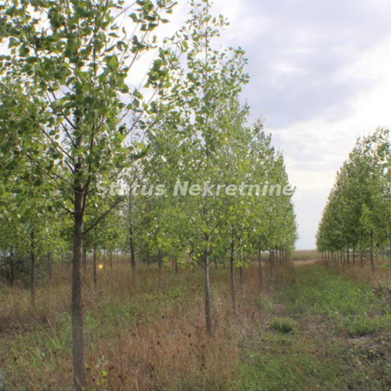 Plac na prodaju, Zrenjanin, 1378,38 ari, 115.000 €