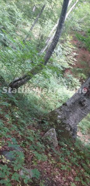 Plac na prodaju, Kopaonik, 75 ari, 6.187.500 €