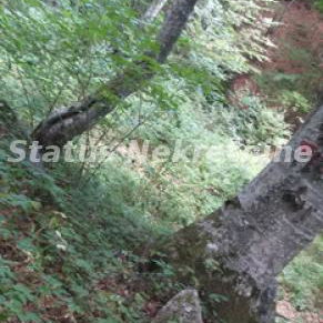 Plac na prodaju, Kopaonik, 75 ari, 6.187.500 €