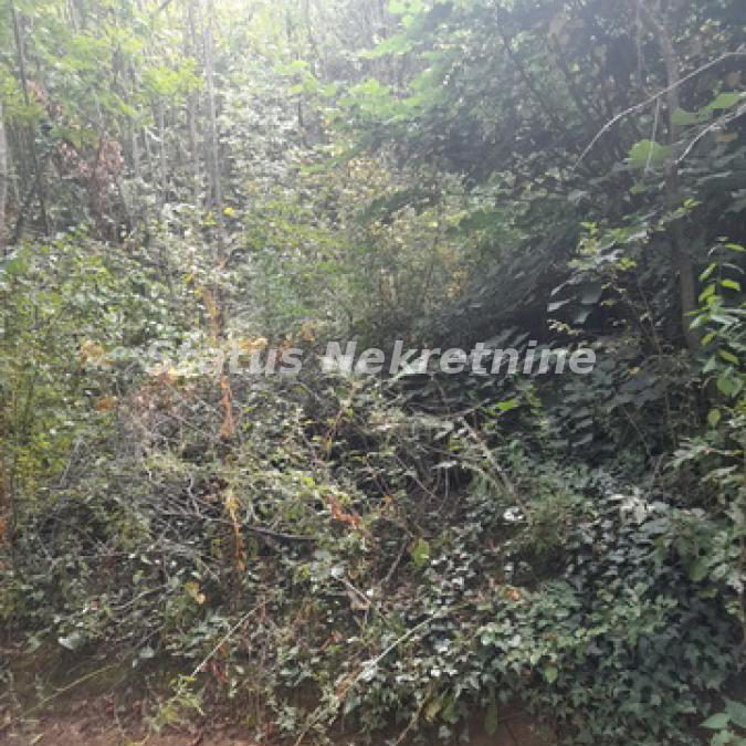 Plac na prodaju, Sremski Karlovci, 7,7 ari, 15.000 €