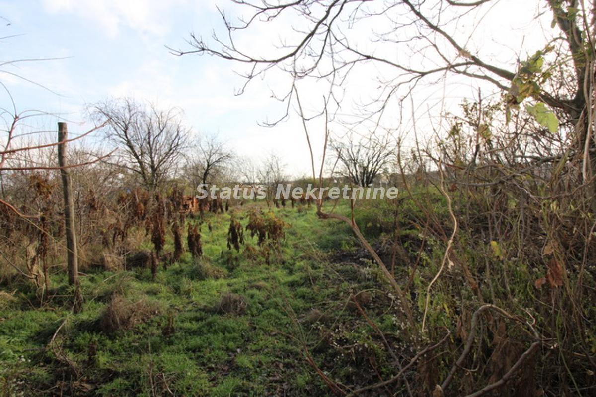 actionimagesite31agencystatusimgfryhcygnpg-img-7068-resize Kuća na prodaju, Kovilj, Novi Sad, 153m², 89.990 €