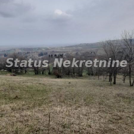 Plac na prodaju, Petrovaradin, Novi Sad, 36,25 ari, 169.950 €