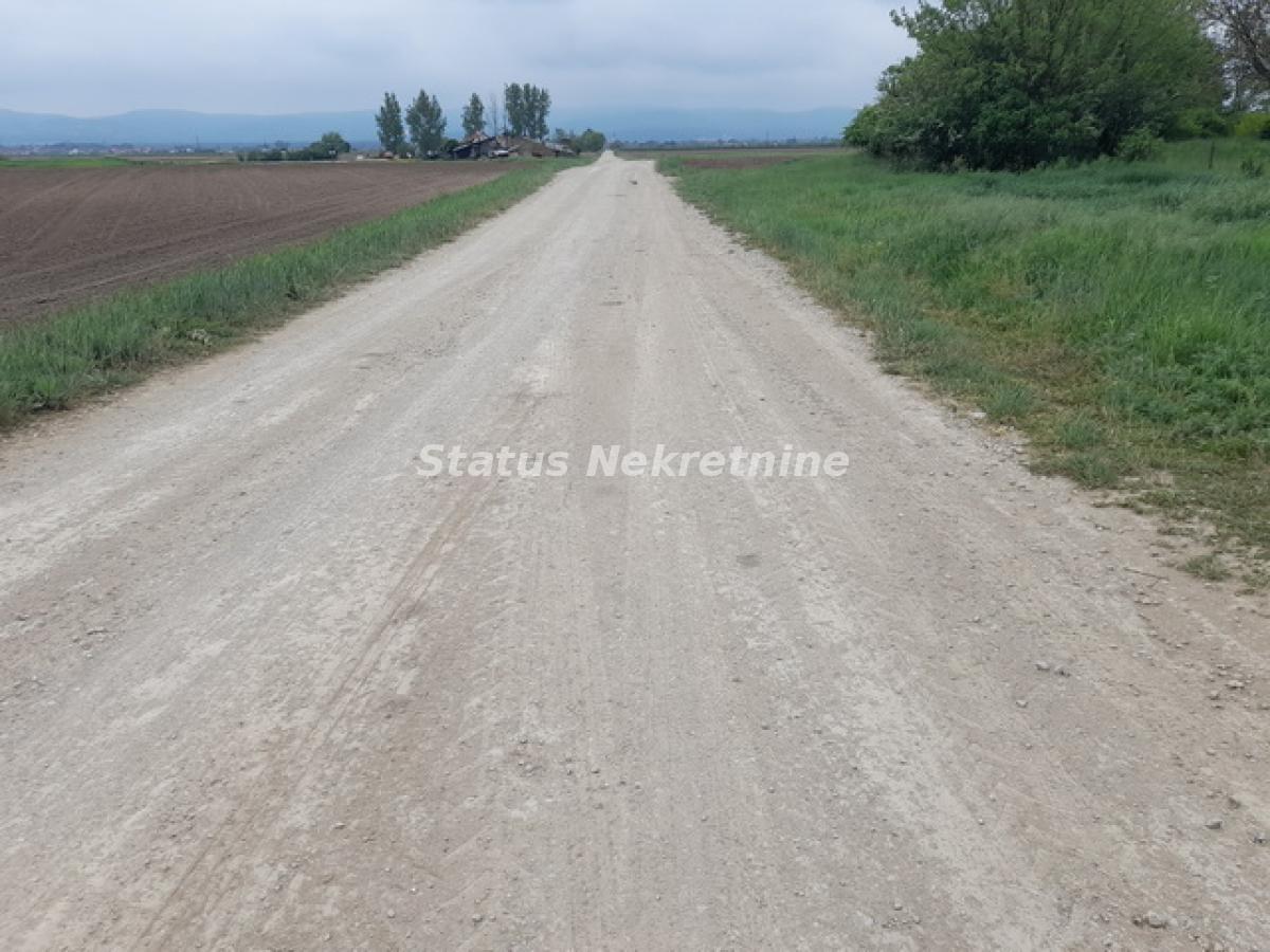 Plac na prodaju, Futog, Novi Sad, 115,08 ari, 355.600 €