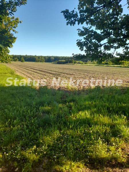 Kuća na prodaju, Šid, 194m², 155.000 €