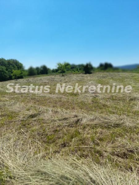 actionimagesite31agencystatusimgmnoarin2cx-20210605-111440-resize Plac na prodaju, Petrovaradin, Novi Sad, 64,65 ari, 466.000 €