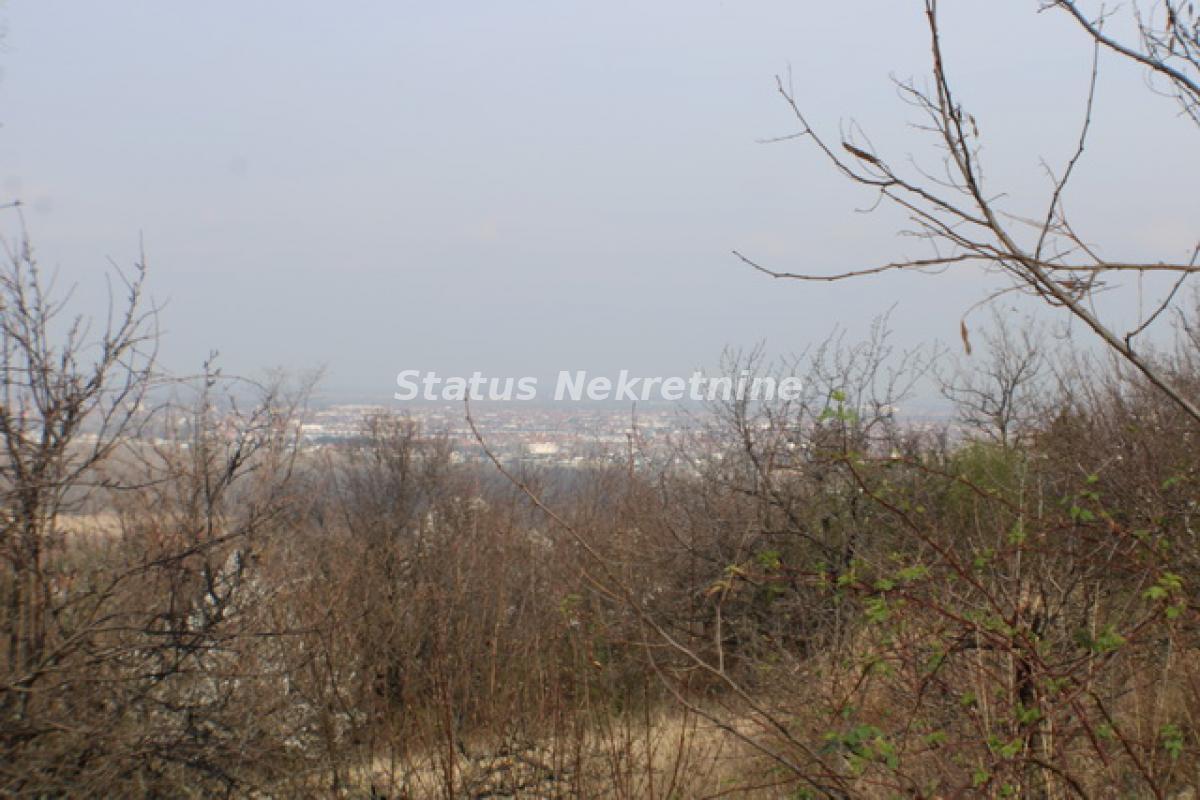 actionimagesite31agencystatusimgmwy2tjt4jc-img-9845-resize Plac na prodaju, Ledinci, Novi Sad, 30,81 ari, 95.200 €