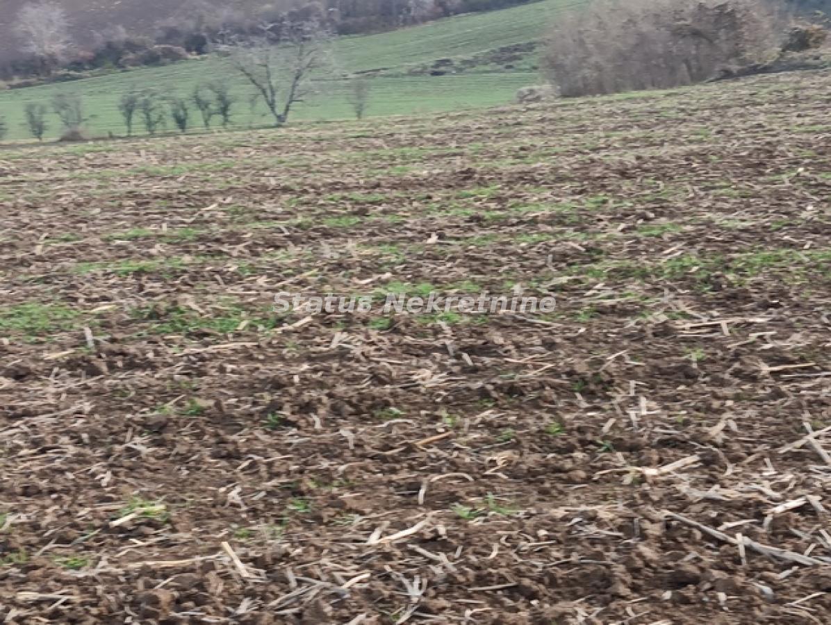 Plac na prodaju, Sremski Karlovci, 322,34 ari, 332.000 €