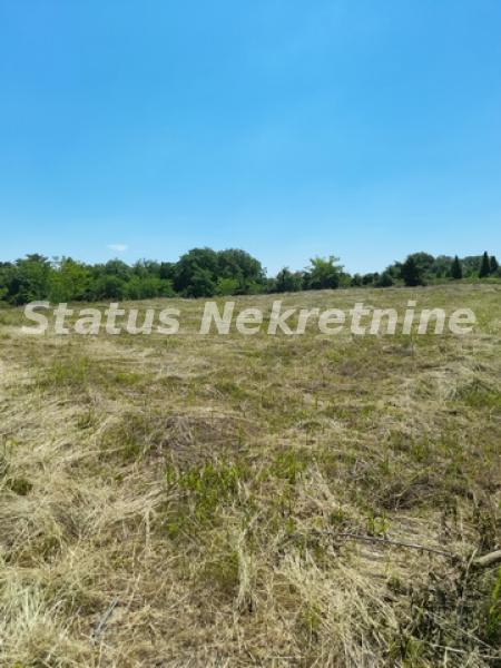 actionimagesite31agencystatusimgn7bufmdbmz-20210605-111418-resize Plac na prodaju, Petrovaradin, Novi Sad, 64,65 ari, 466.000 €