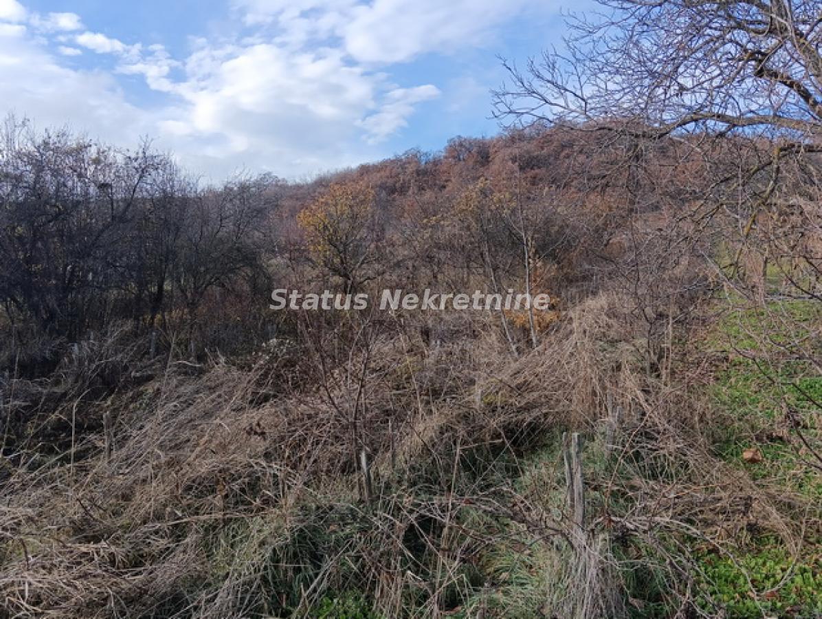 Plac na prodaju, Sremski Karlovci, 33,33 ari, 34.350 €