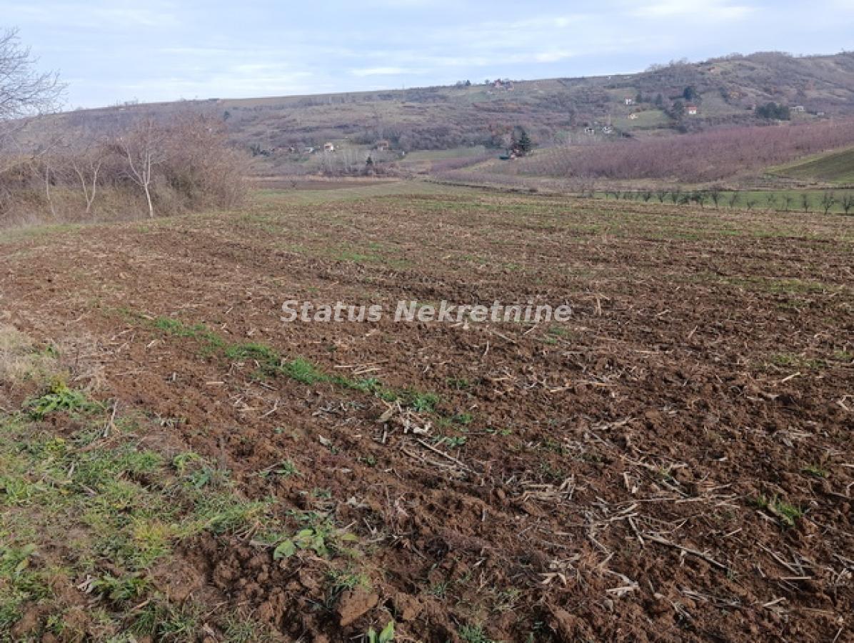 Plac na prodaju, Sremski Karlovci, 322,34 ari, 332.000 €