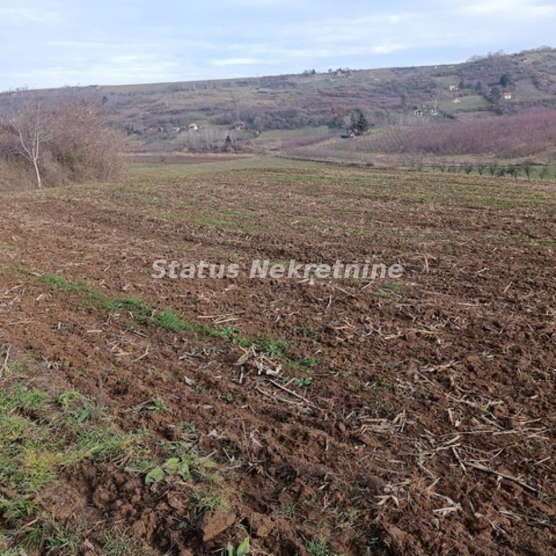 Plac na prodaju, Sremski Karlovci, 322,34 ari, 332.000 €