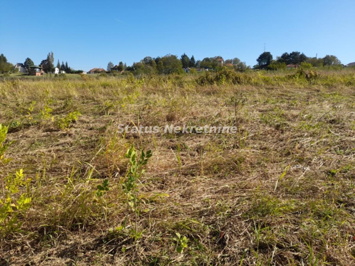 actionimagesite31agencystatusimgqhw5qpty0i-b18 Plac na prodaju, Ledinci, Novi Sad, 209,64 ari, 2.591.000 €