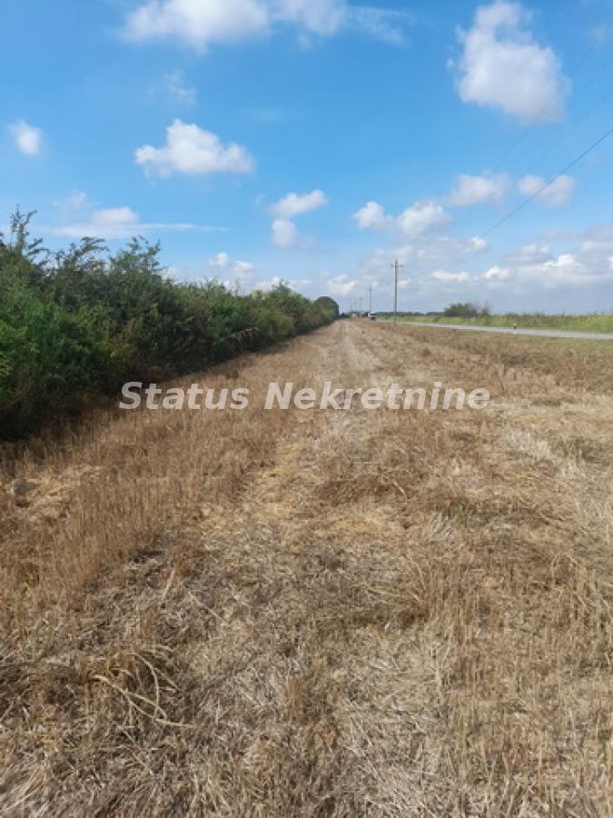 actionimagesite31agencystatusimgqs3czv5una-20230831-111532-resize Plac na prodaju, Sremska Mitrovica, 341,55 ari, 247.200 €