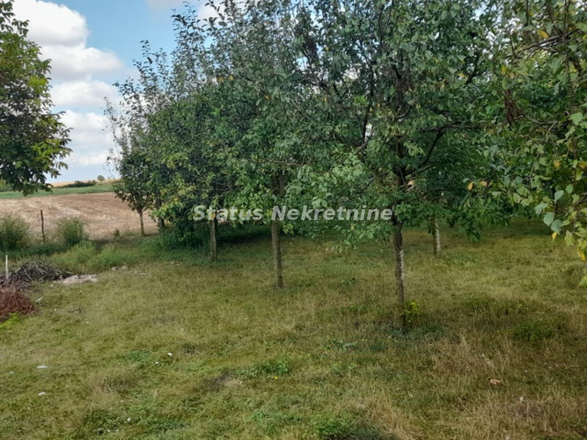 actionimagesite31agencystatusimgqsomq7xt08-20230831-122459-resize Kuća na prodaju, Ruma, 220m², 72.100 €