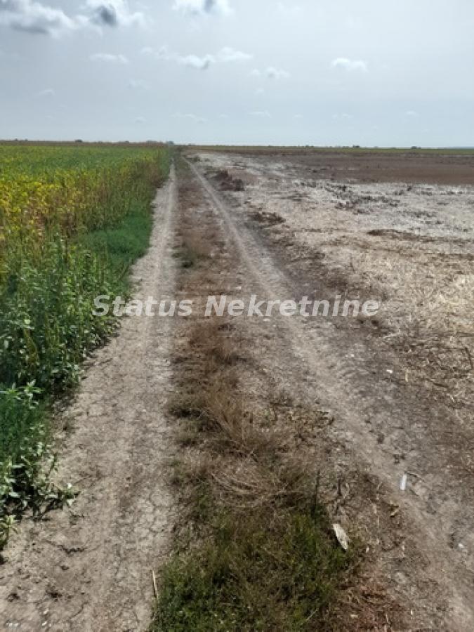 actionimagesite31agencystatusimgqvmi50zz74-20230831-112149-resize Plac na prodaju, Sremska Mitrovica, 341,55 ari, 247.200 €