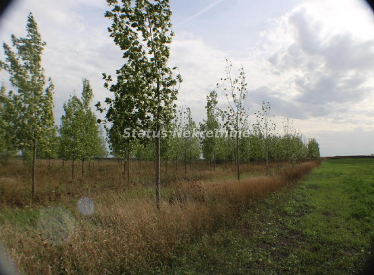 Plac na prodaju, Zrenjanin, 1378,38 ari, 115.000 €