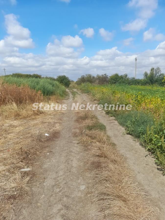 actionimagesite31agencystatusimgr5mogu44tz-20230831-112157-resize Plac na prodaju, Sremska Mitrovica, 341,55 ari, 247.200 €