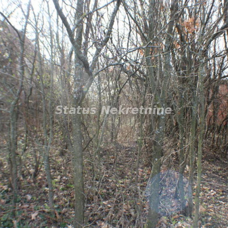 Plac na prodaju, Ledinci, Novi Sad, 30,81 ari, 95.200 €