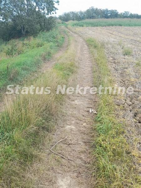 actionimagesite31agencystatusimgrfh2egrwah-20220912-102127-resize Plac na prodaju, Bukovac, Novi Sad, 23,86 ari, 61.450 €