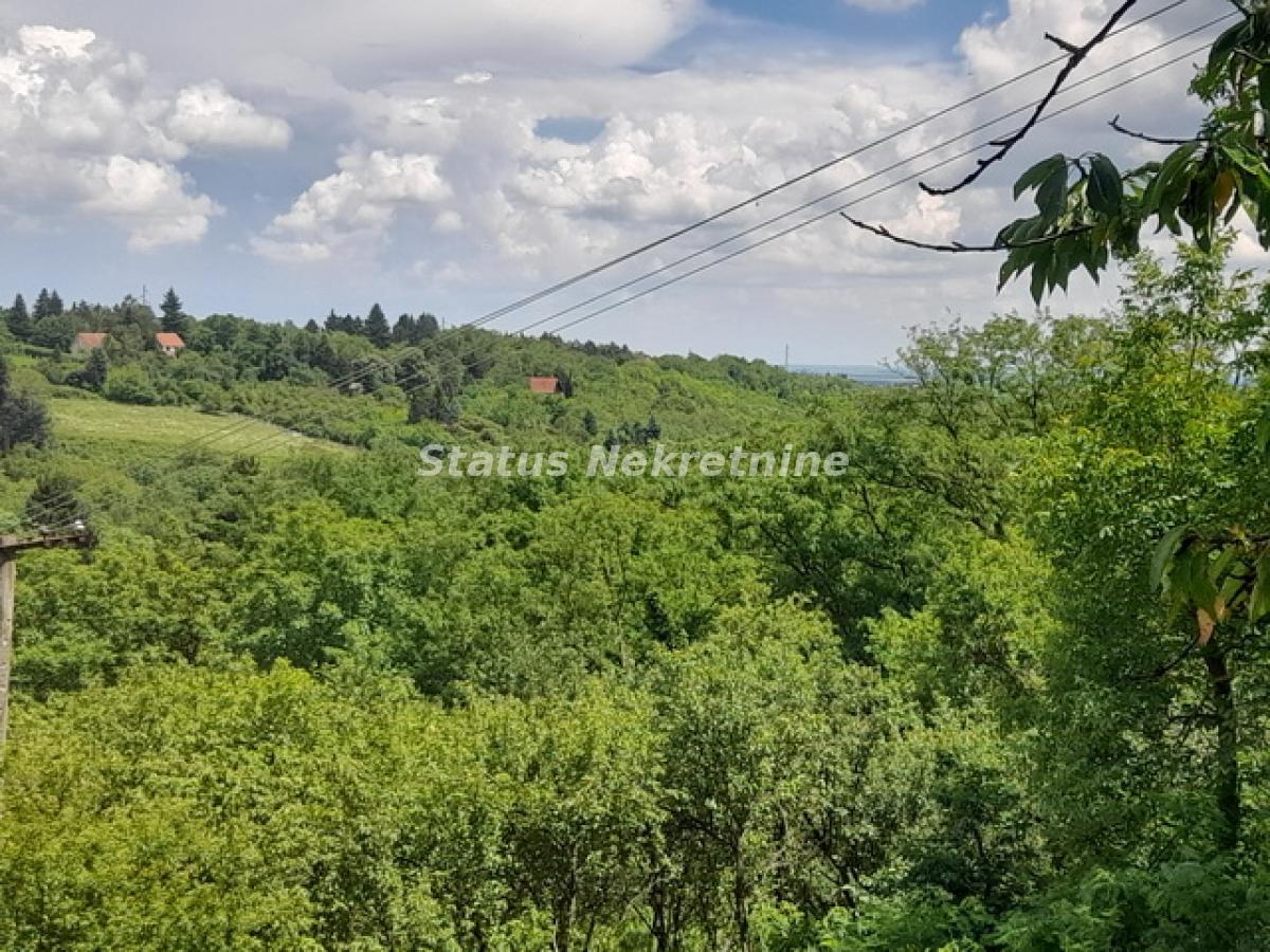 actionimagesite31agencystatusimgrvguq8azeo-20230610-130508-resize Plac na prodaju, Inđija, 21,65 ari, 49.000 €