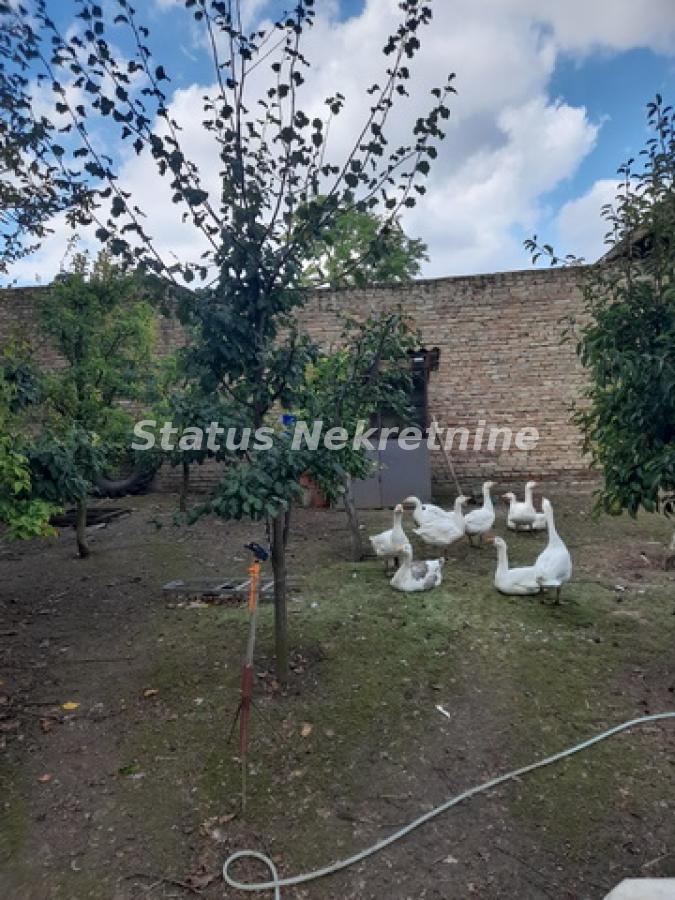 actionimagesite31agencystatusimgrwu5hohvpc-20230831-122324-resize Kuća na prodaju, Ruma, 220m², 72.100 €