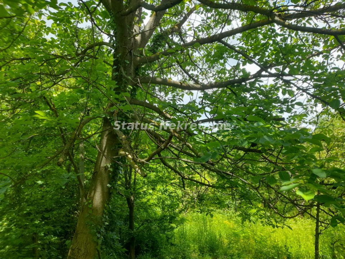 actionimagesite31agencystatusimgsnu46v8pmj-20230610-130951-resize Plac na prodaju, Inđija, 21,65 ari, 49.000 €