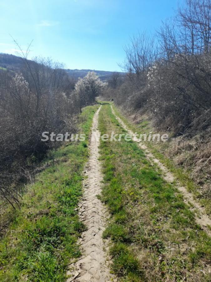 actionimagesite31agencystatusimgtnc7d0805p-20230313-124041-resize Plac na prodaju, Sremski Karlovci, 70,25 ari, 59.000 €