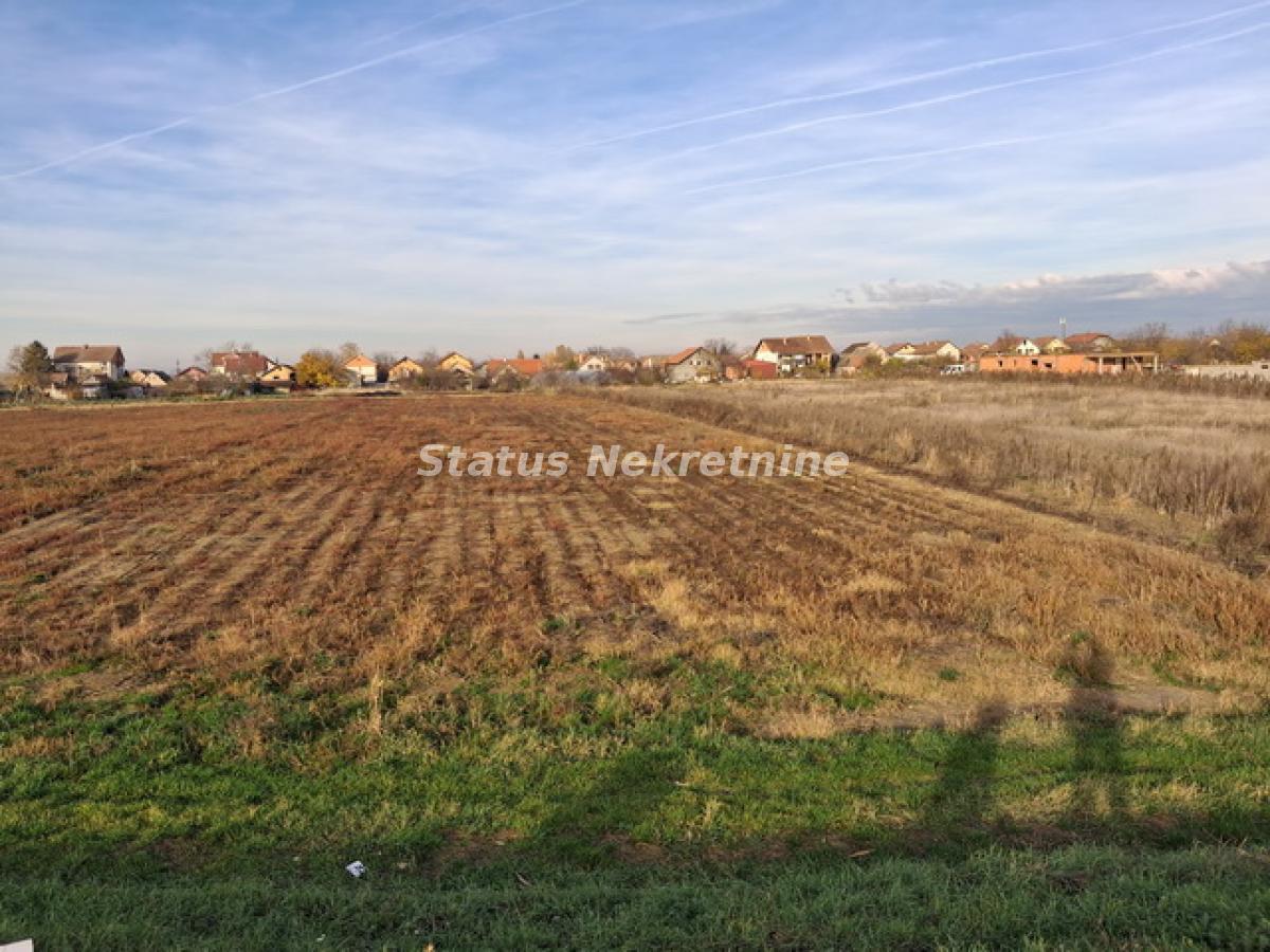 Plac na prodaju, Futog, Novi Sad, 5,7 ari, 57.000 €