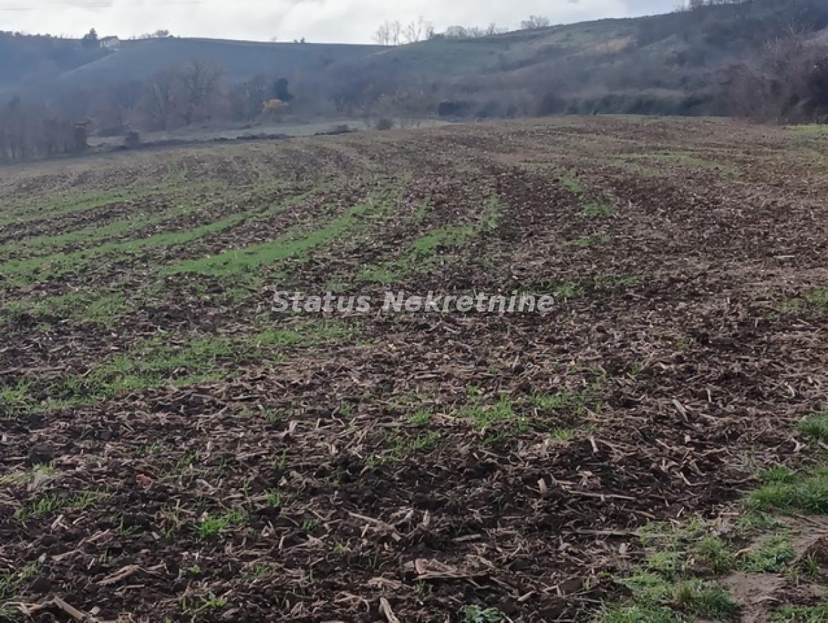 Plac na prodaju, Sremski Karlovci, 322,34 ari, 332.000 €